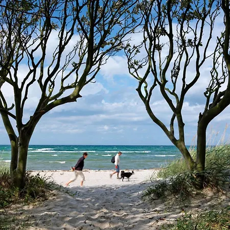 Haffblick Wyspa Poel